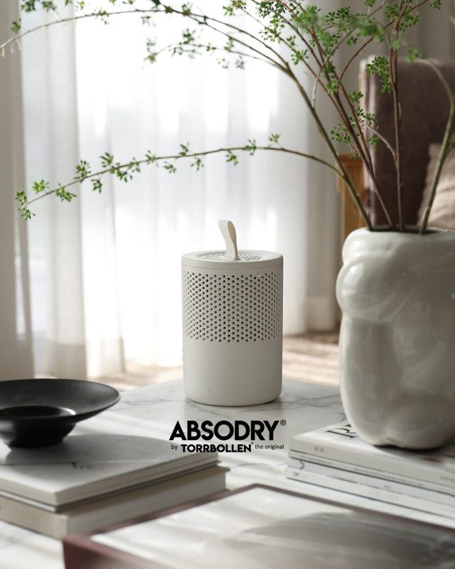 ABSODRY